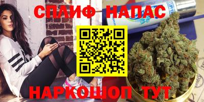 трава Будённовск