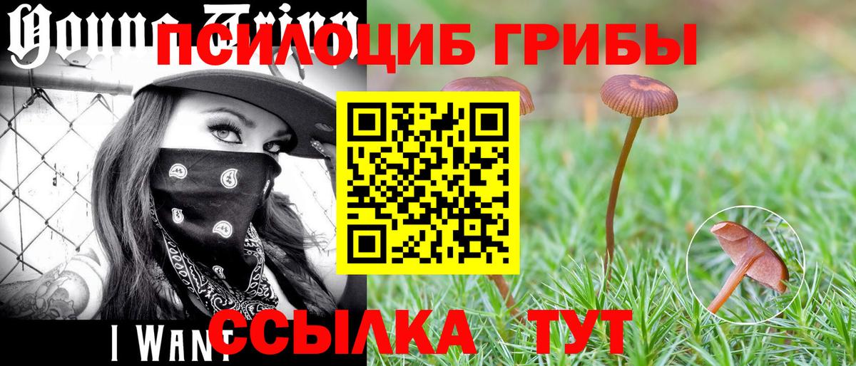 Псилоцибиновые грибы Psilocybe  Вход с VPN  Лянтор 